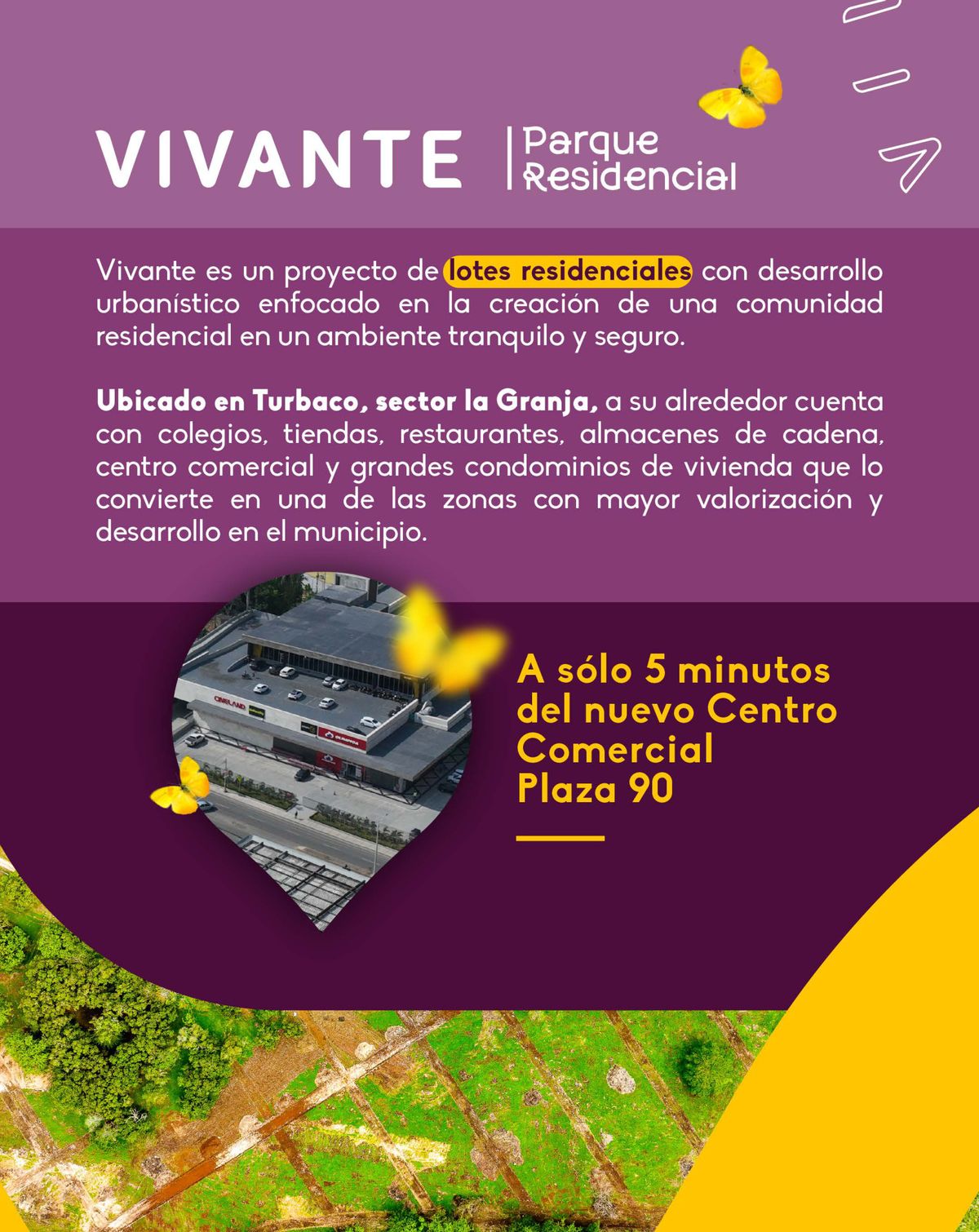Vivante